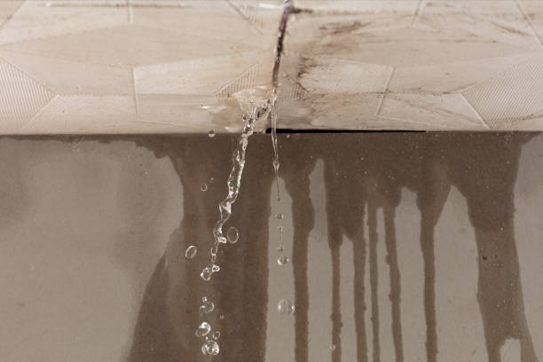 Professional Burst Pipe Cleanup technician working in Wellington, OH
